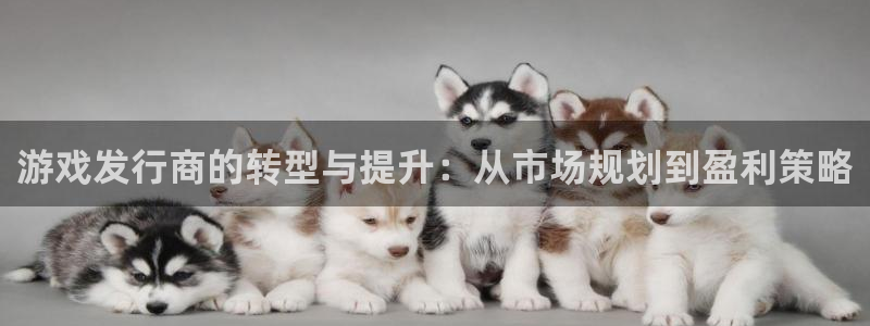 作者bbin视讯子：游戏发行商的转型与提升：从市场规划到盈利策略