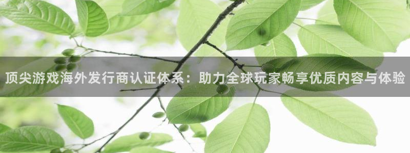 bbin视讯官网代理开号怎么开：顶尖游戏海外发行商认证体系：助力全球玩家畅享优质内容与体验