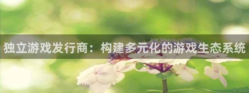 bbin视讯官网客服服务：独立游戏发行商：构建多元化的游戏生态系统