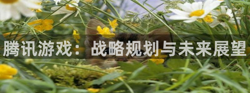 bbin视讯官网注册登录不了：腾讯游戏：战略规划与未来展望