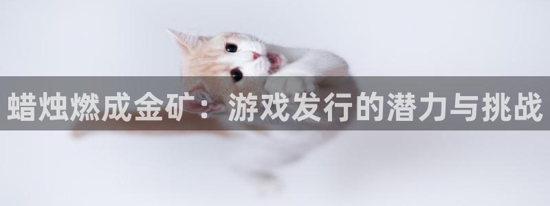 bbin视讯衣服怎么样：蜡烛燃成金矿：游戏发行的潜力与挑战