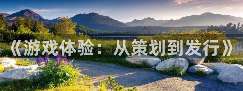 bbin视讯烟照片：《游戏体验：从策划到发行》
