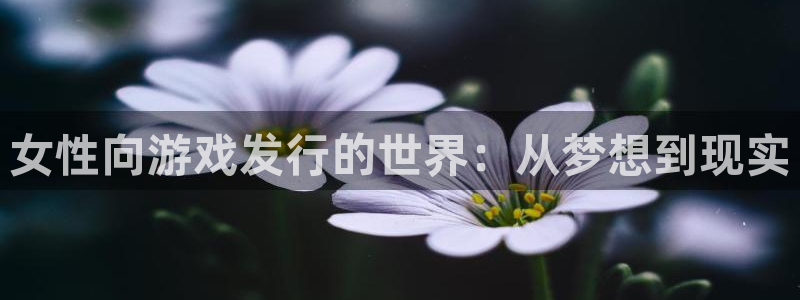 bbin视讯子经理人杂志：女性向游戏发行的世界：从梦想到现实