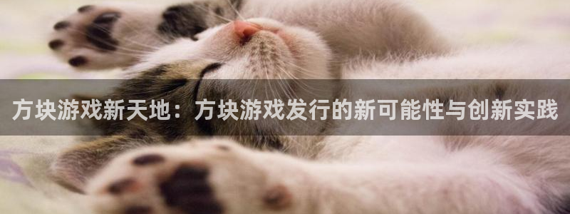bbin视讯智邦