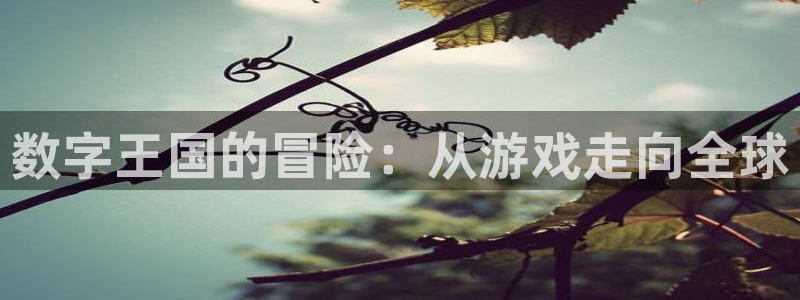 bbin视讯子经理人