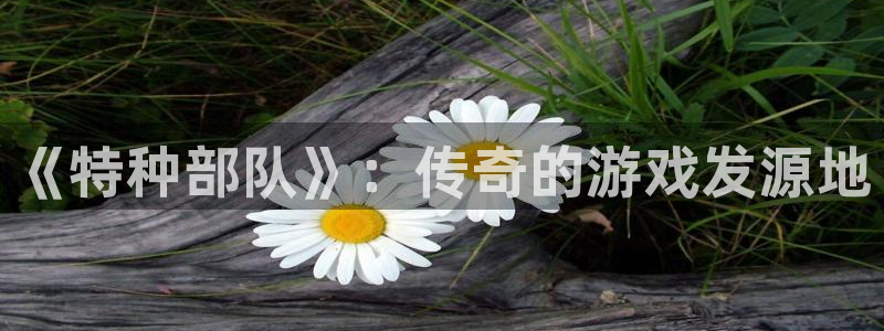 bbin视讯官网的钱能提出来吗：《特种部队》：传奇的游戏发源地