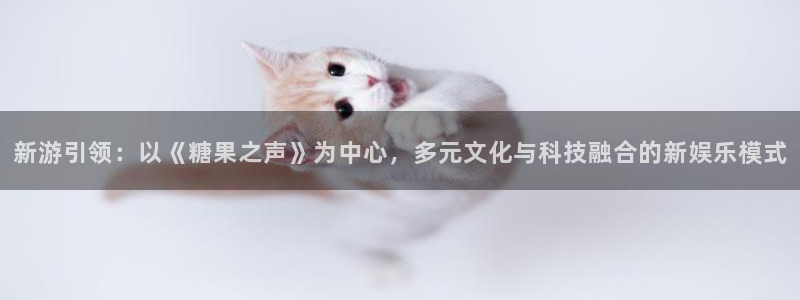 广东bbin视讯