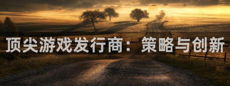 作者bbin视讯子：顶尖游戏发行商：策略与创新