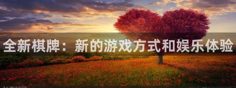 bbin视讯官网注册登录不了：全新棋牌：新的游戏方式和娱乐体验