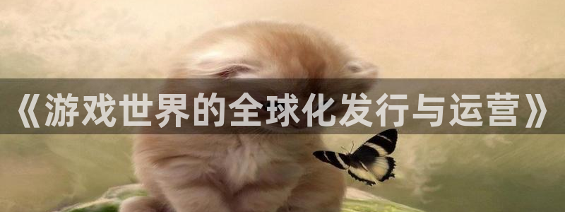 bbin视讯官网客服怎么样：《游戏世界的全球化发行与运营》