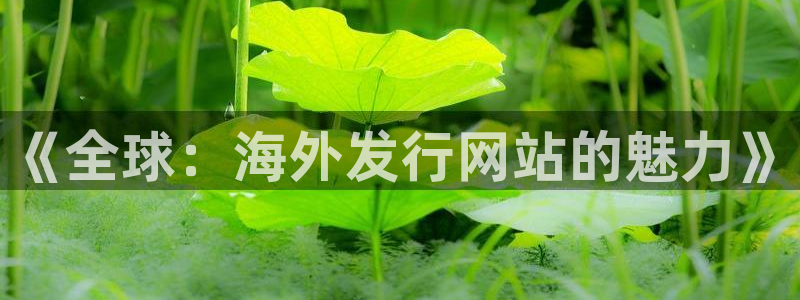 bbin视讯官网主管他494o3 主管：《全球：海外发行网站的魅力》