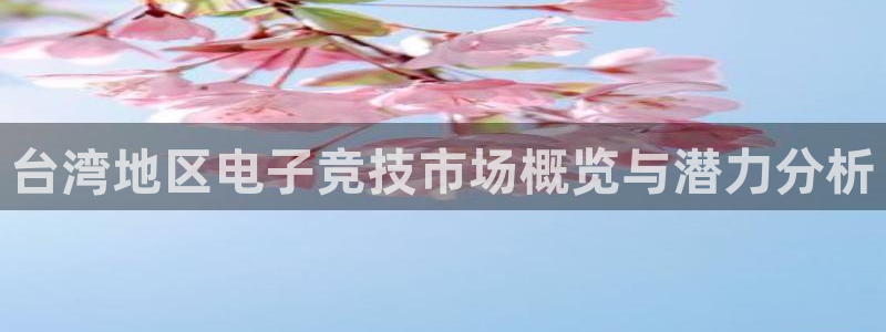 bbin视讯官网客服服务电话：台湾地区电子竞技市场概览与潜力分析