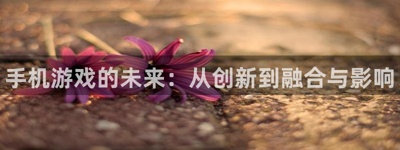 广州bbin视讯网络科技有限公司怎么样