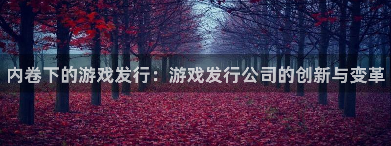 四川bbin视讯科技有限公司